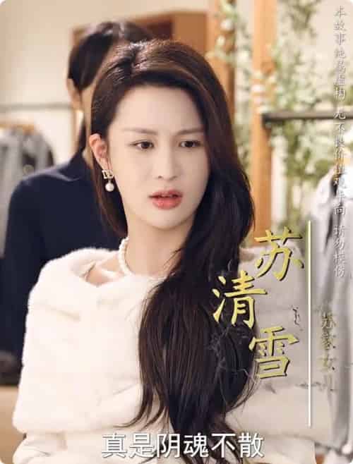 养母的秘密（34集全） - 紫橙阁短剧