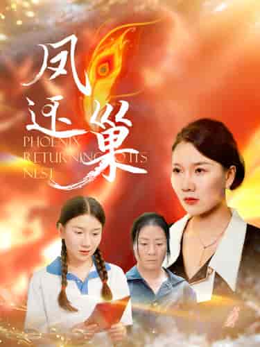 凤还巢（100集）-紫橙网创项目网