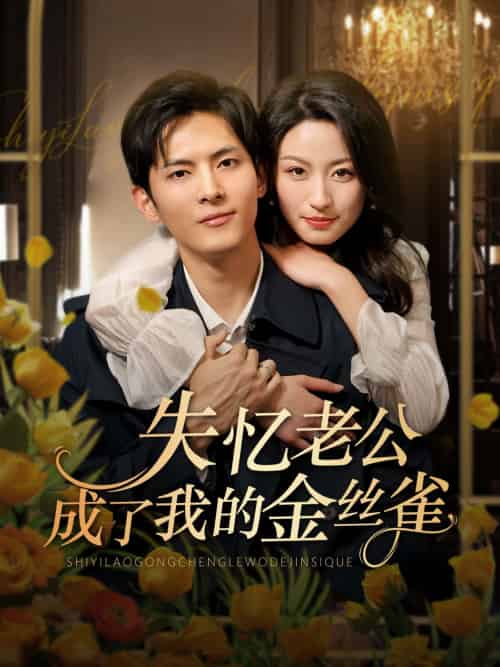 失忆老公成了我的金丝雀 失忆老公成了我的金丝雀