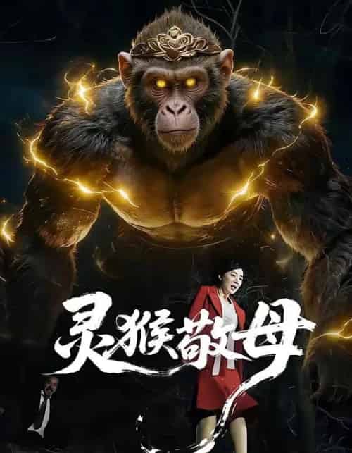 灵猴敬母（50集全）余果＆曹禹澄-紫橙网创项目网