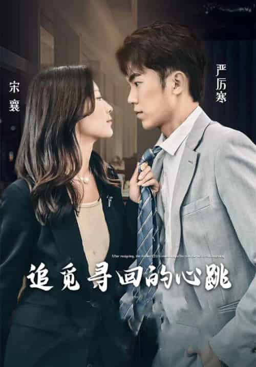 追觅寻回的心跳（100集全）严厉寒＆宋襄 - 紫橙阁短剧