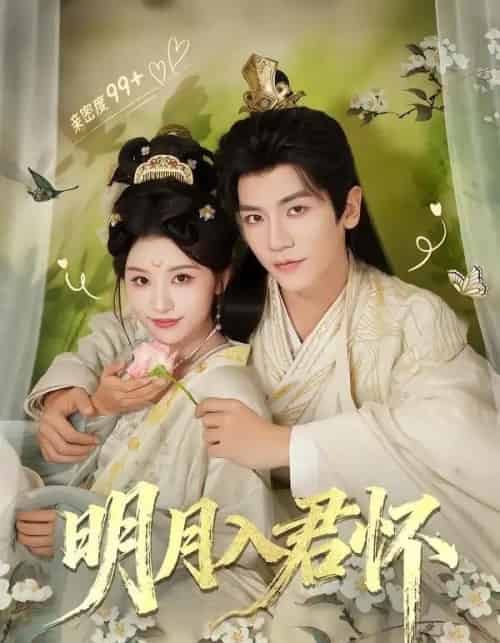 明月入君怀（70集全）安子杨＆李思潼-紫橙网创项目网