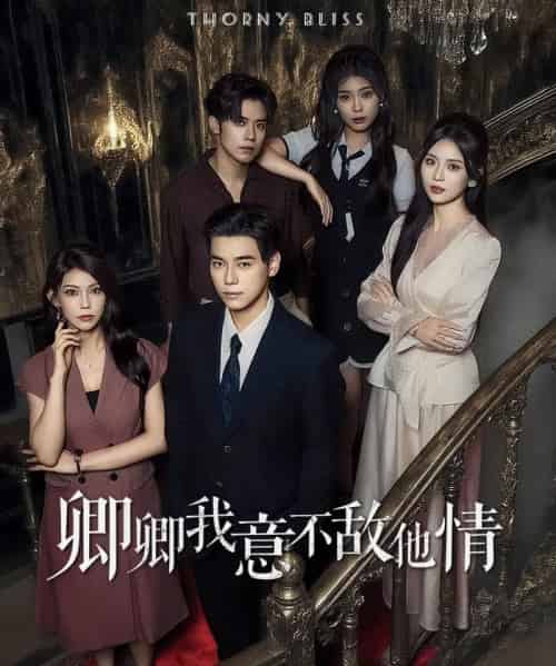 卿卿我意不敌他情（80集全）王倩倩＆袁志颖-紫橙网创项目网
