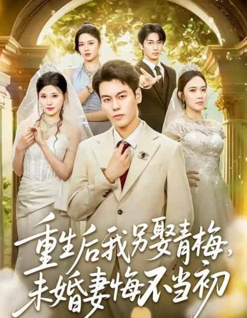 重生后我另娶青梅,未婚妻悔不当初(61集全)刘煜烨&胡蝶&张兮樾-紫橙网创项目网