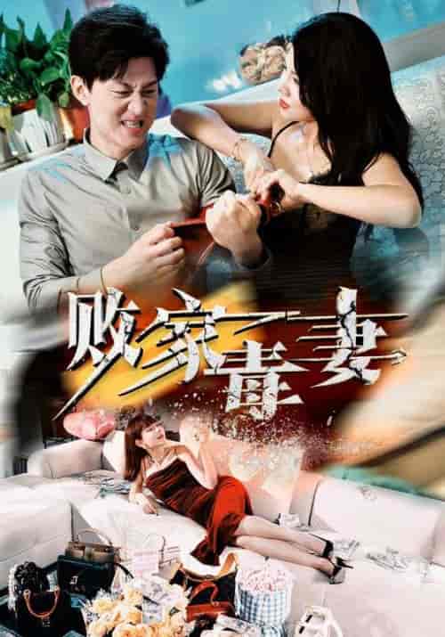 败家毒妻（32集全）汪天予 - 紫橙阁短剧