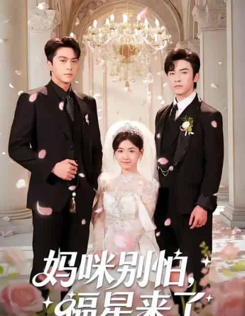 妈咪别怕,福星来了(57集全)王博&咪咔-紫橙网创项目网