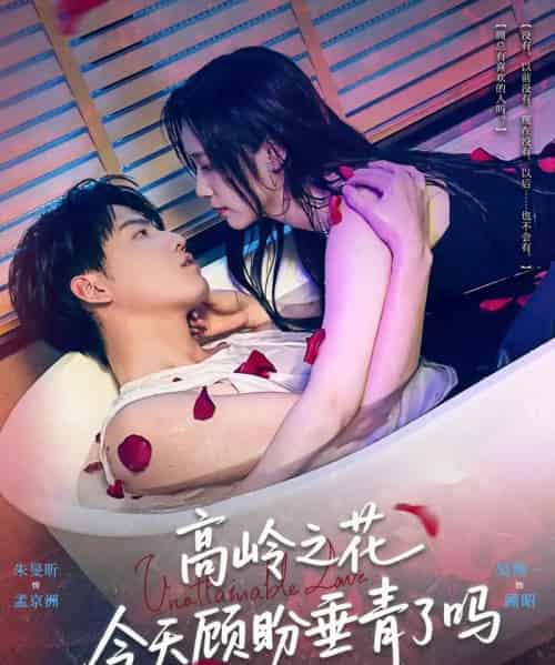 高岭之花今天顾盼垂青了吗(82集)朱旻昕&吴纯一-紫橙网创项目网