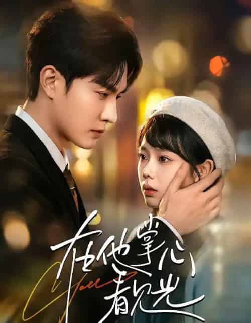 在他掌心看见光（99集全）周玉玲＆陈天晓-紫橙网创项目网