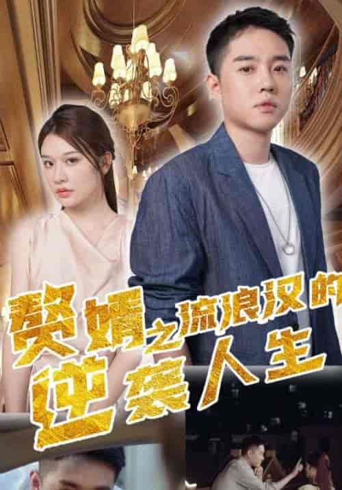 赘婿之流浪汉的逆袭人生（90集全）沐易安＆陆曦曦 - 紫橙阁短剧