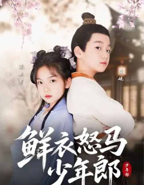 鲜衣怒马少年郎 鲜衣怒马少年郎