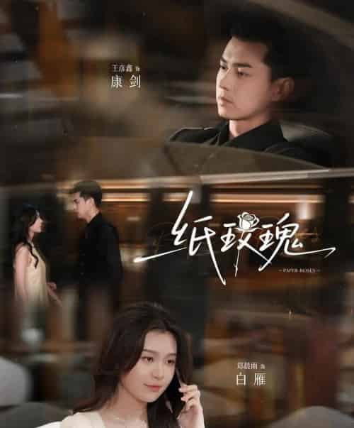 纸玫瑰 纸玫瑰