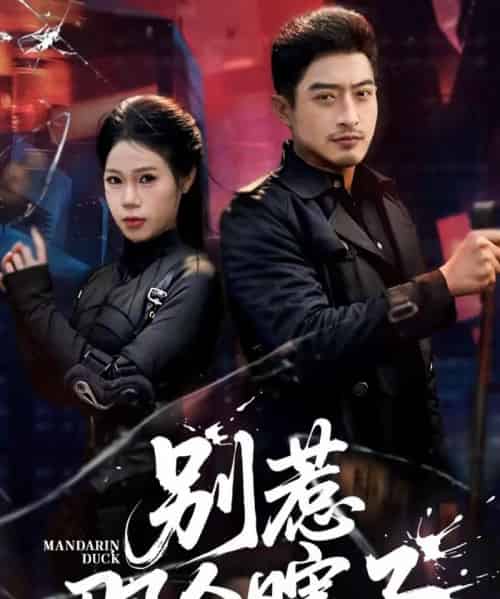 别惹那个瞎子（61集全）郑天阳＆陈七七-紫橙网创项目网