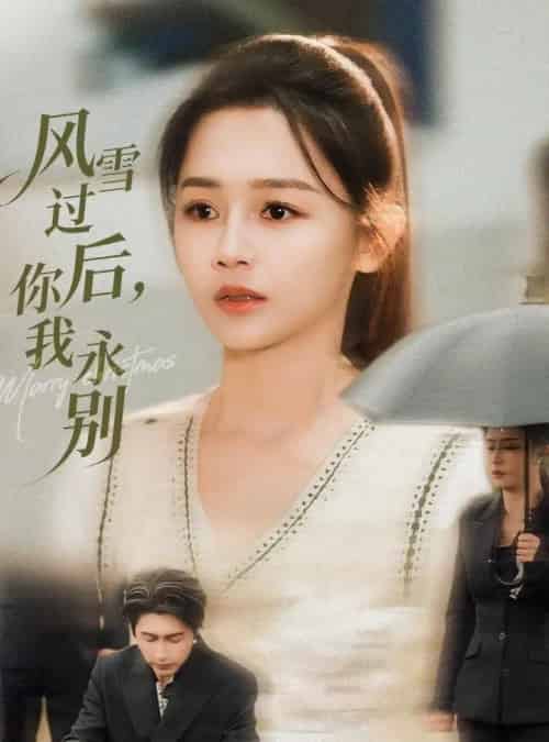风雪过后，你我永别（51集全）王禹润＆郑湘敏-紫橙网创项目网