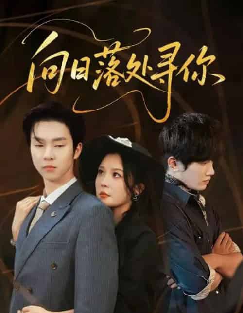 向日落处寻你（70集全）李明＆邓嘉伦 - 紫橙阁短剧