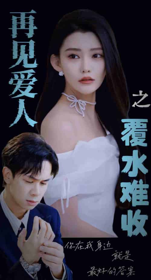 再见爱人之覆水难收（30集全）李雅静 - 紫橙阁短剧