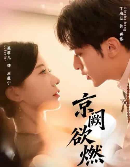 京阙欲燃(59集全)丁海弘&唐菲儿-紫橙网创项目网