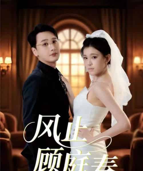 风止顾庭春(51集全)陈奕木&贾熙宁-紫橙网创项目网