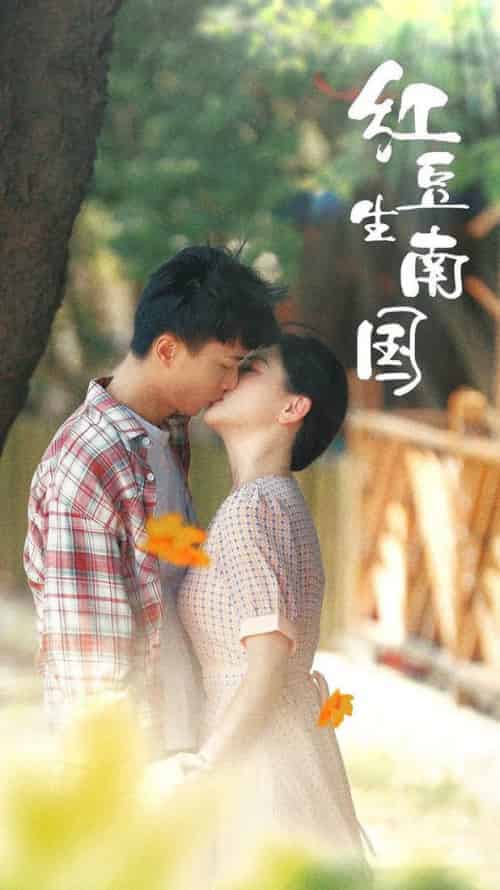 红豆生南国（53集全）常丹丹 - 紫橙阁短剧
