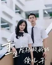 重生后，拯救我的傻儿子（60集全）李柏蓉-紫橙网创项目网