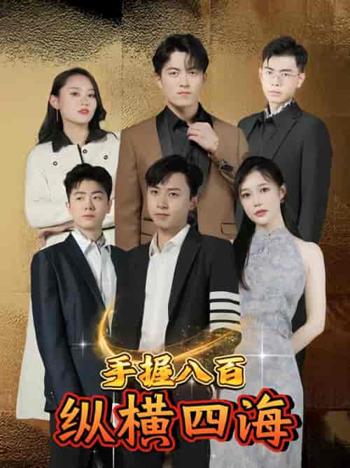 手握八百纵横四海（93集） - 紫橙阁短剧