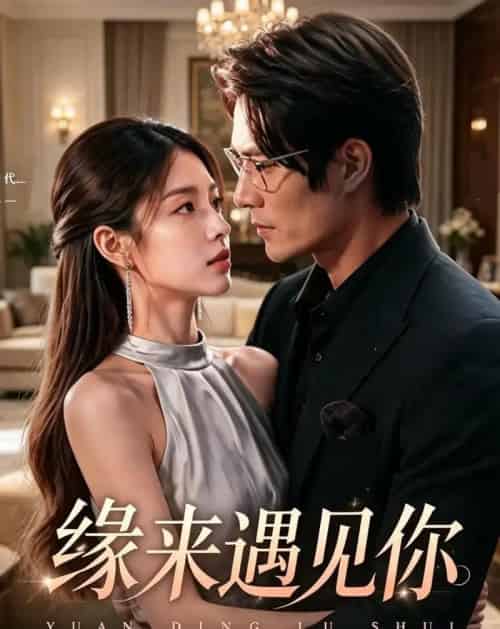 缘来遇见你(29集全)张秋怡&于航-紫橙网创项目网