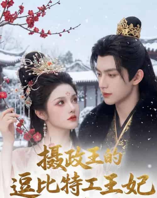 摄政王的逗比特工王妃又闯祸了(78集全)AI-紫橙网创项目网