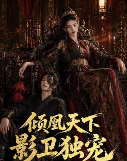 倾凰天下,影卫独宠(49集全)AI-紫橙网创项目网