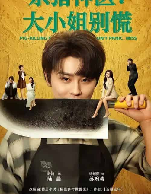 杀猪神医：大小姐别慌（80集全）舒瀚＆杨晰茹-紫橙网创项目网