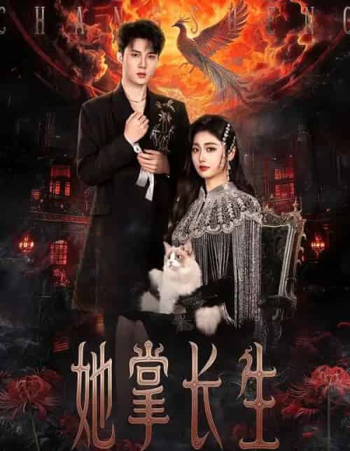 她掌长生（63集全）高子怡＆陈子昂-紫橙网创项目网