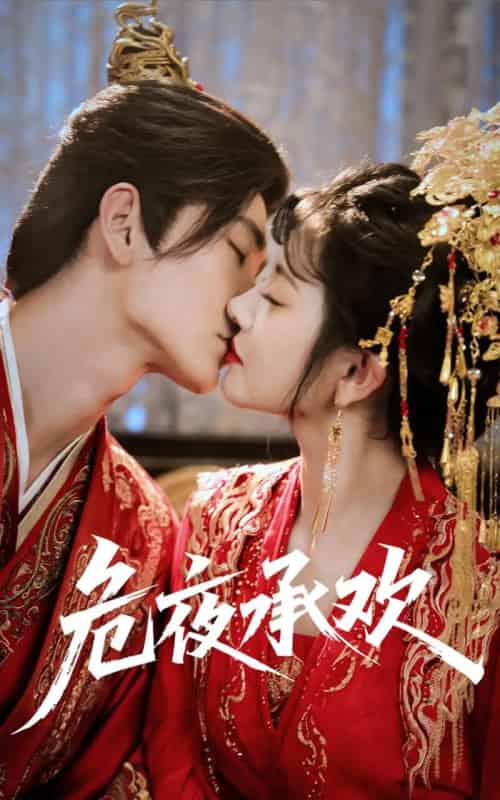 危夜承欢（83集全）常斌＆廖慧敏（冷巴）-紫橙网创项目网