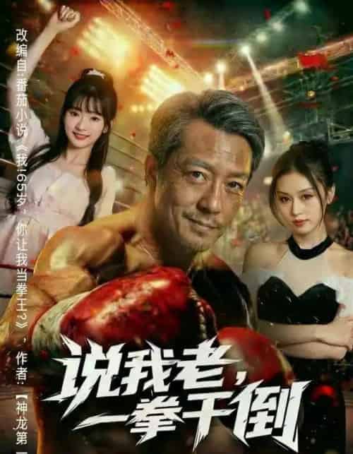 说我老，一拳干倒（81集全）李宗峄＆金美希-紫橙网创项目网