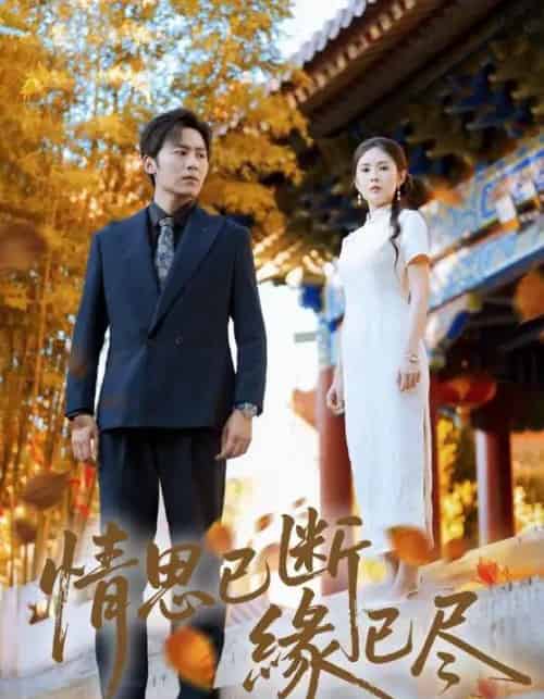 情思已断缘已尽（80集全）星硕＆陈酉昔 - 紫橙阁短剧