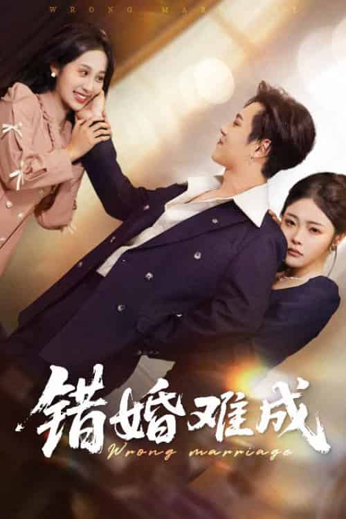 错婚难成（45集全）彭程＆武鸿蕊 - 紫橙阁短剧