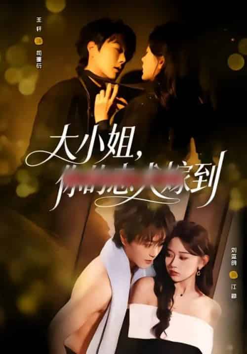 大小姐，你的忠犬嫁到（80集全）王轩＆刘蓝鸽-紫橙网创项目网