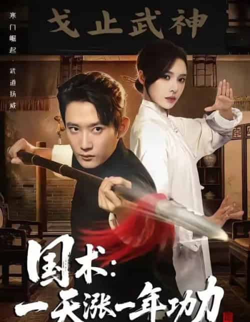 国术,一天涨一年功力(66集全)江宇顺&刘金妍-紫橙网创项目网