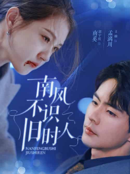 南风不识旧时人（63集）郭宇欣＆王楠 - 紫橙阁短剧
