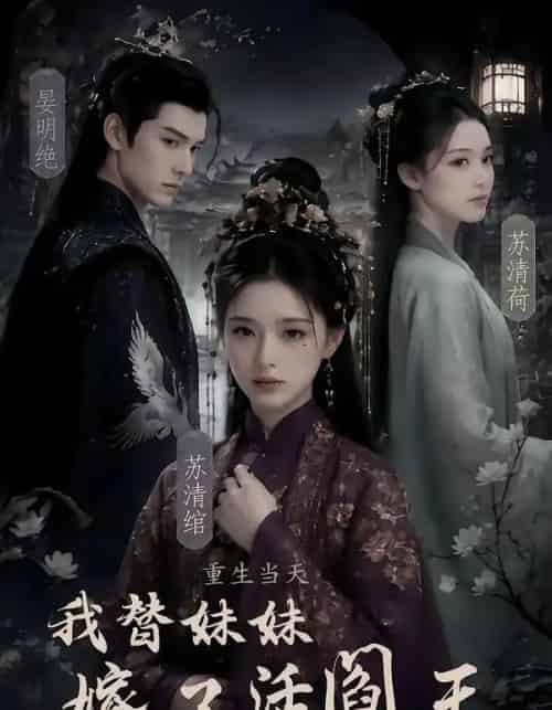 重生当天，我替妹妹嫁了活阎王（85集全）AI-紫橙网创项目网