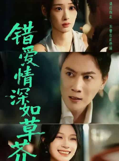错爱情深如草芥（46集全）秦璐瑶＆宋星瀚 - 紫橙阁短剧