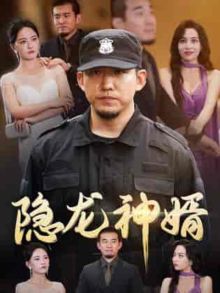 隐龙神婿（81集） - 紫橙阁短剧