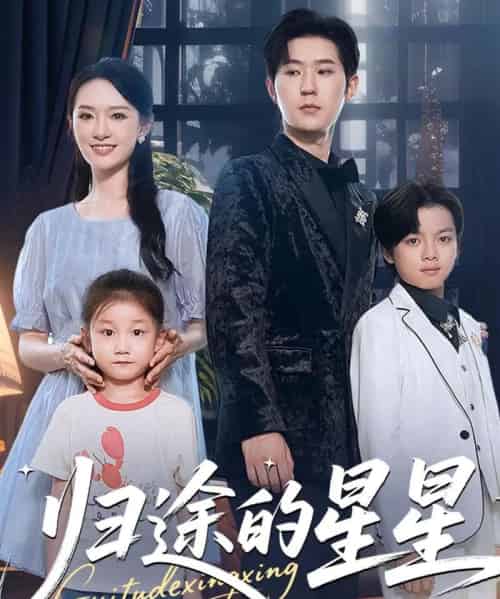 归途的星星（100集全）李河源＆任娄怡-紫橙网创项目网