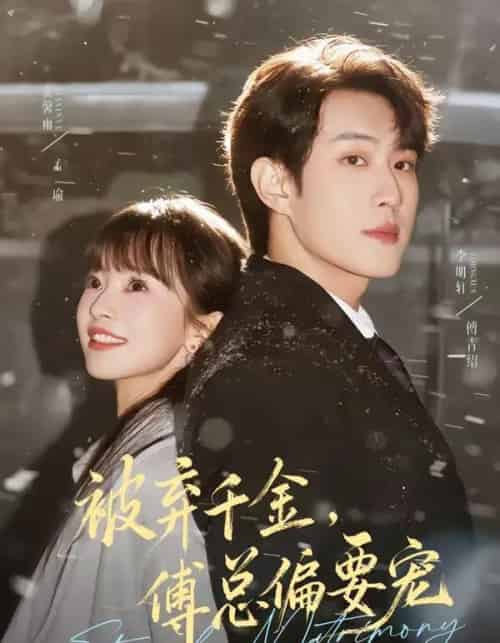 被弃千金傅总偏要宠（62集全）李明轩＆贾馨雨-紫橙网创项目网