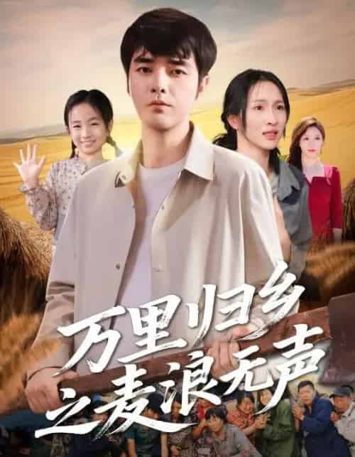 万里归乡之麦浪无声 万里归乡之麦浪无声