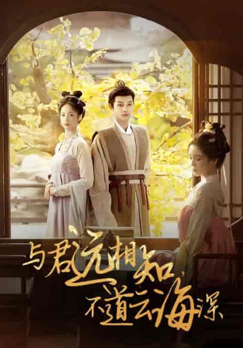 与君远相知，不道云海深（30集全）顾云峥＆沈凝 - 紫橙短剧