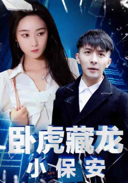 卧虎藏龙小保安（65集）林不凡＆安雪琪 - 紫橙阁短剧