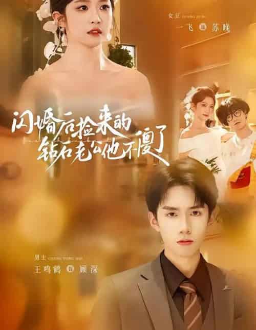 闪婚后捡来的钻石老公他不傻了（85集全）王鸣鹤＆一飞-紫橙网创项目网