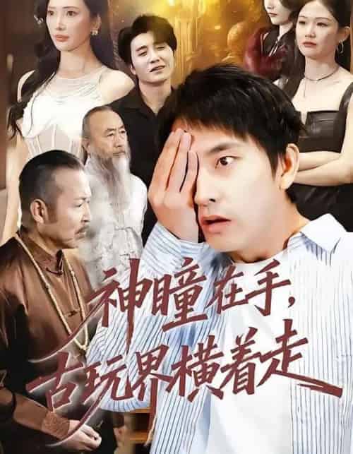 神瞳在手，古玩界横着走（95集全）潘悦铭＆可凡-紫橙网创项目网
