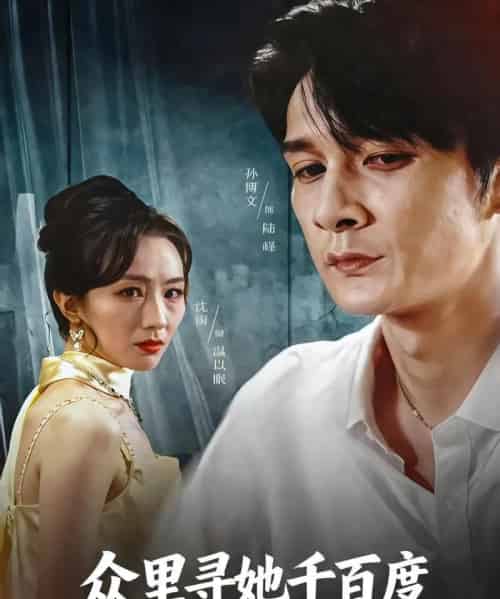 众里寻她千百度（39集全）孙博文＆沈雨-紫橙网创项目网