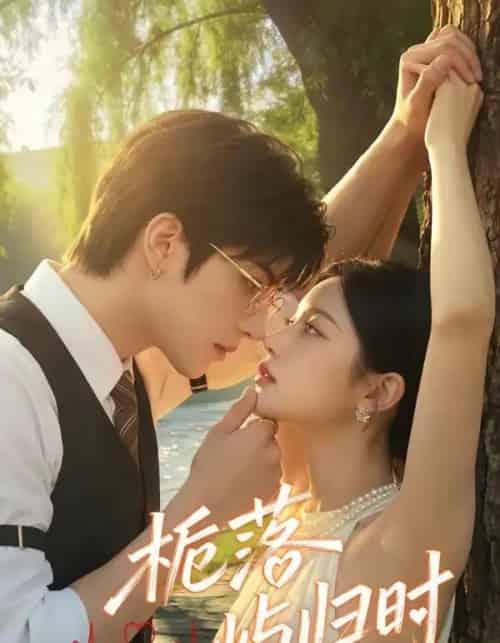 栀落屿归时（53集全）AI-紫橙网创项目网