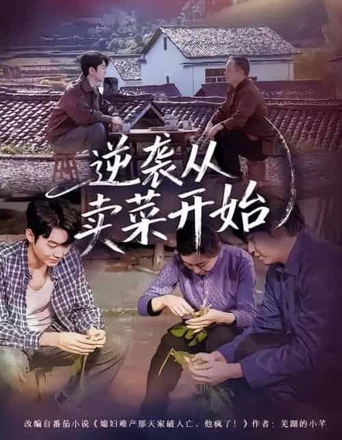 逆袭从卖菜开始（72集全）安嘉欣＆刘子轩-紫橙网创项目网