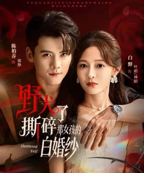 野犬撕碎了那女孩的白婚纱 野犬撕碎了那女孩的白婚纱